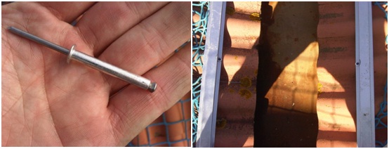 Remaches flor y tornillos
