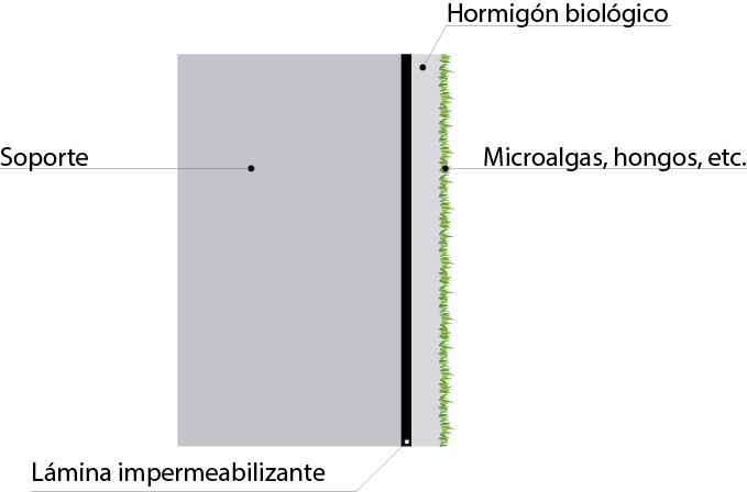 cubiertas diansa hormigon biologico