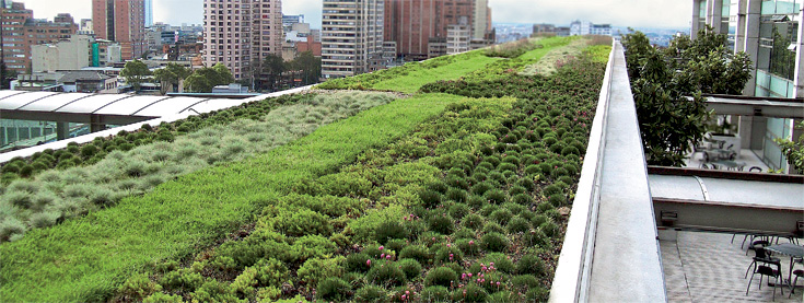 cubierta-vegetal